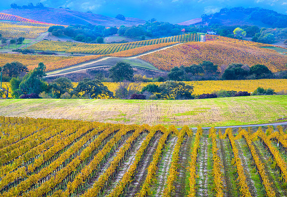 California's Crop #8271.5