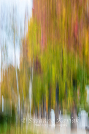 Painterly Street #8793