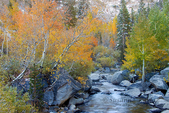 Bishop Creek #0068