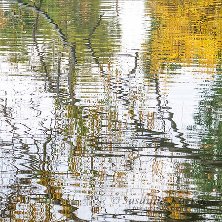 Vasona Abstract #3554.2