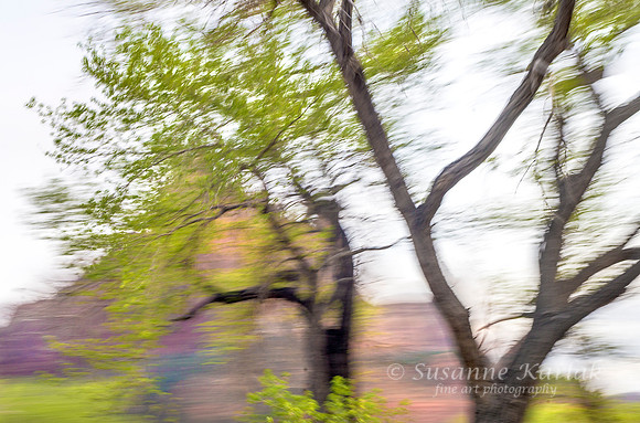 Painterly Blowing Tree #4511