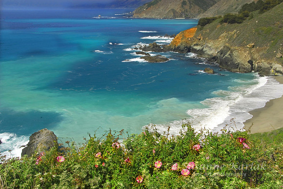 Big Sur Coast #011