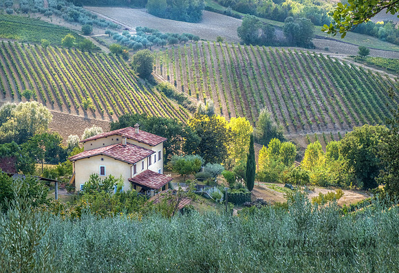Umbria Delight #9850