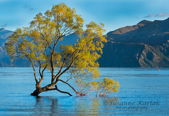 Wanaka #0537.2