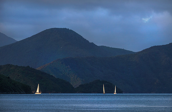 Picton #1275.2