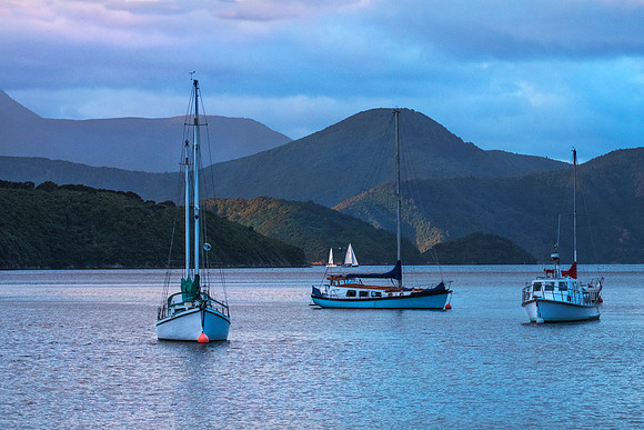 Picton #1268.2