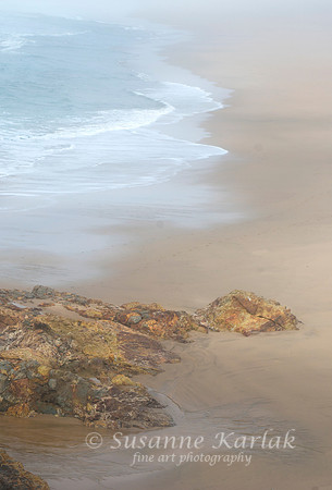 Pescadero in Fog #5700