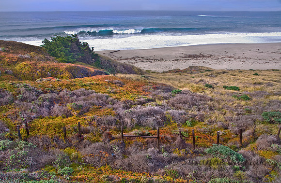 El Sur Ranch #0035.3