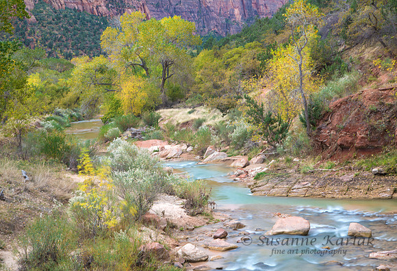 Zion Virgin River #1098
