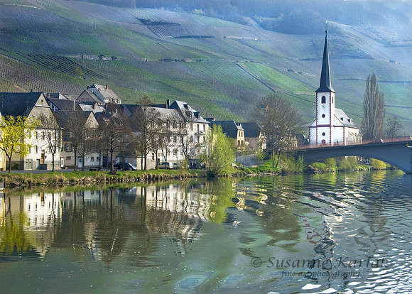 Mosel River Reflections #0398