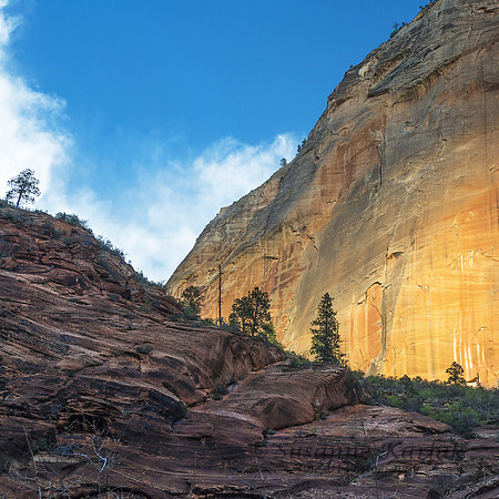 The Colors of Zion #1225