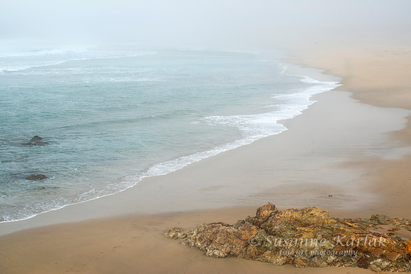 Pescadero in Fog #5696