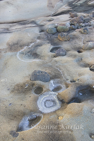 Beach Patterns #339