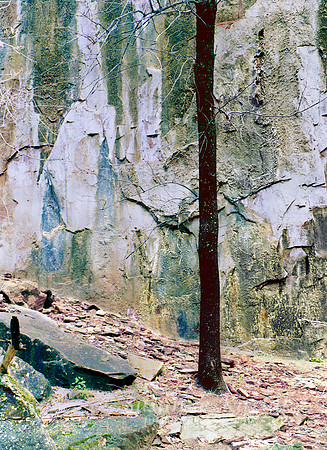 Zion Design in Color #12