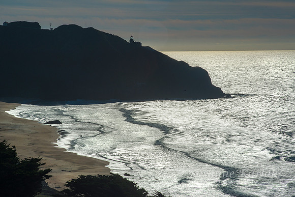 Silver Big Sur #9479