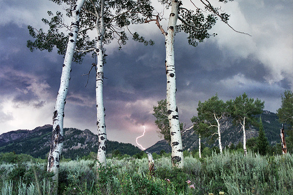 Lightening among the Aspens #6.194