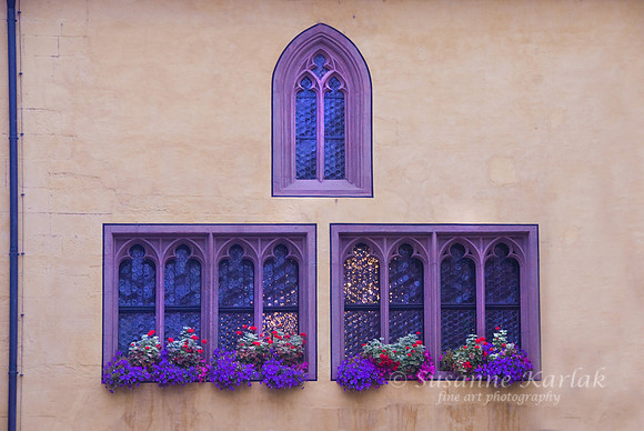 Purple Windows #107