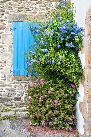 Corner Flowers #4564