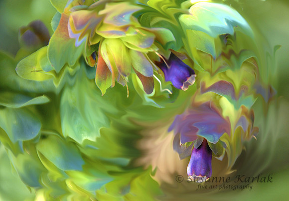 Painterly Dance of the Flowers #062