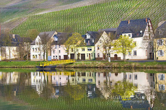 Vineyard Reflected #392