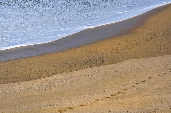 _DSF8479.2