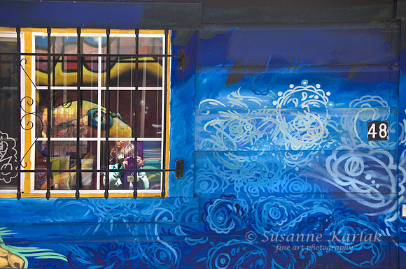 Mission Photographer in Window #134