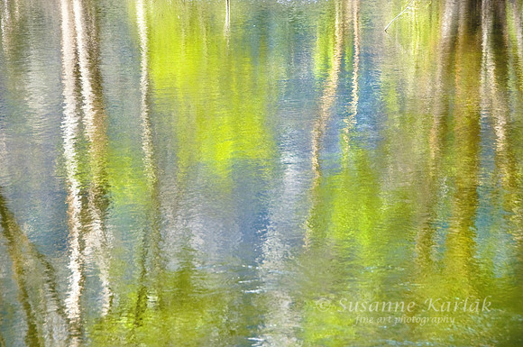 Yosemite Reflection #073