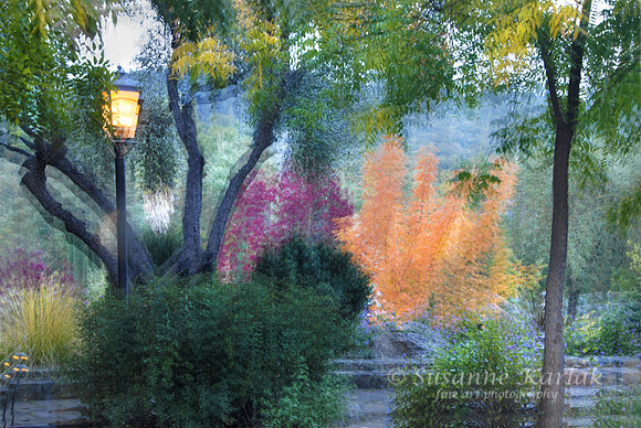Painterly Lantern #296