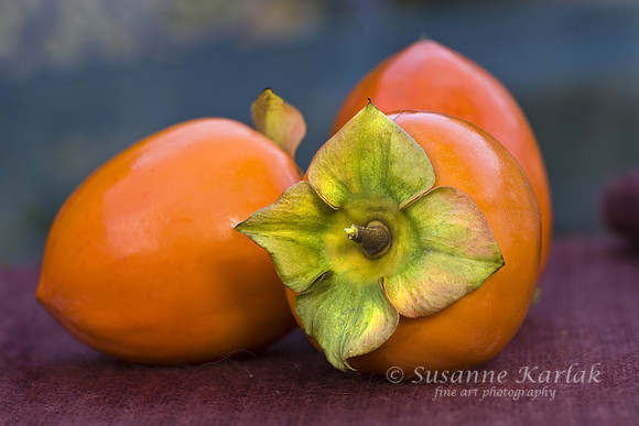 Three Persimmons
