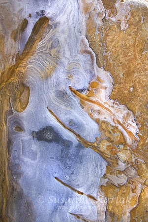 Sandstone Art (Carmelo Formation) #232