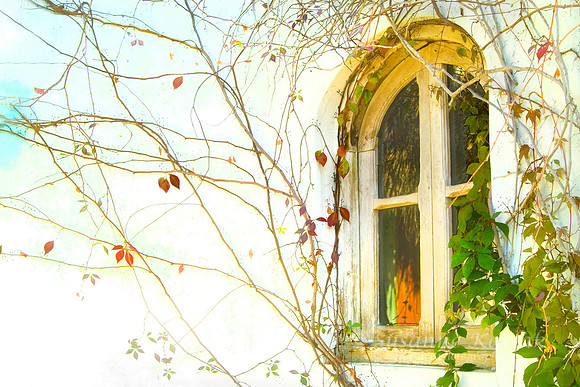 Villa Amor Window #5544