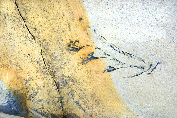 Rock Art #164
