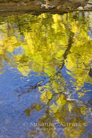 Yellow Reflection #177