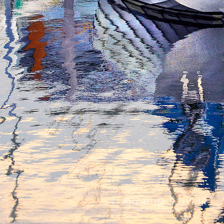Silvery Reflection #6318