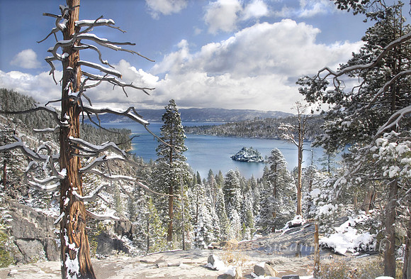 Tahoe Snow #200