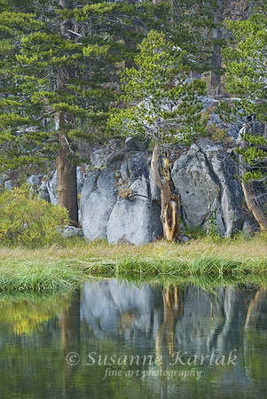 South lake Reflection #607