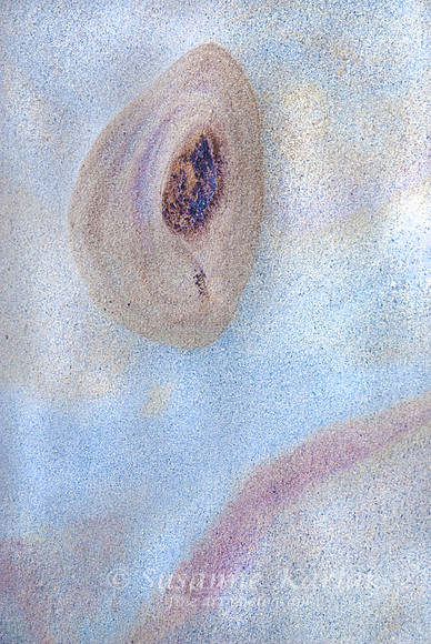 Sandstone Design (Carmelo Formation) 364