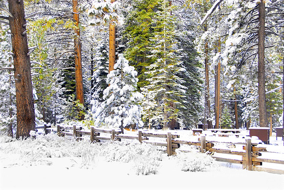 Tahoe Snow #089