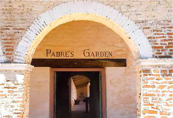 Padre's Garden #0033_3