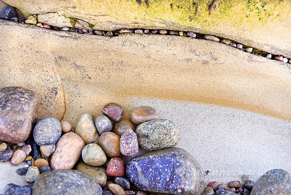 Nature's Decor #052