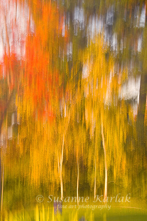 Painterly Fall Colors #084