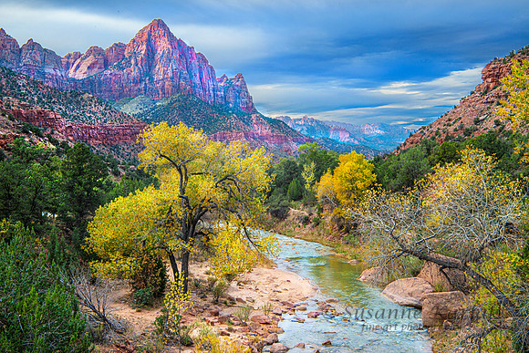 Autumn in Zion #8289