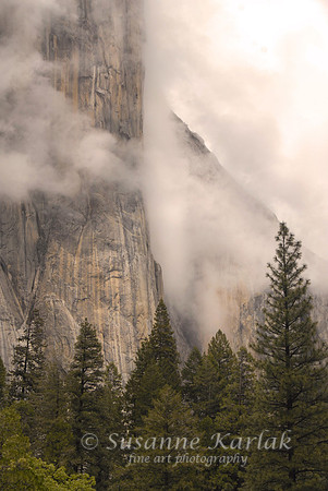 Cloud on El Capitan #450