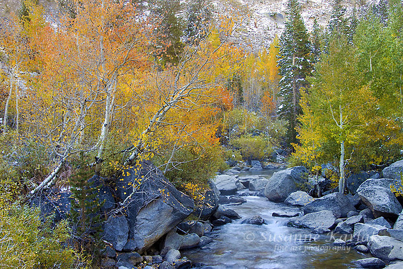 Painterly Sabrina Creek #068