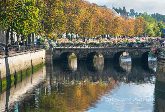 Quimper, Brittany  5444