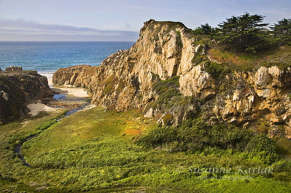 Beautiful Big Sur Coast #100