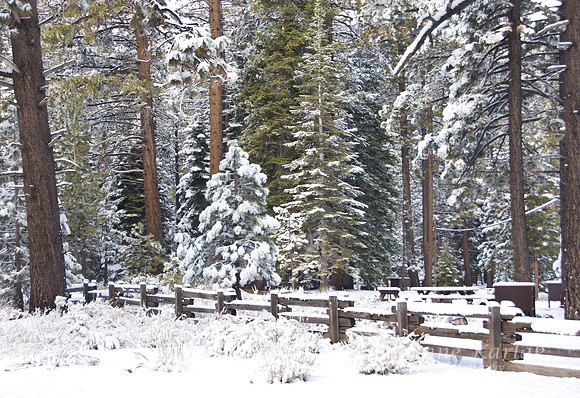 First Tahoe Snow #090