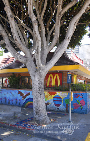 Mission Street McDonald's #167