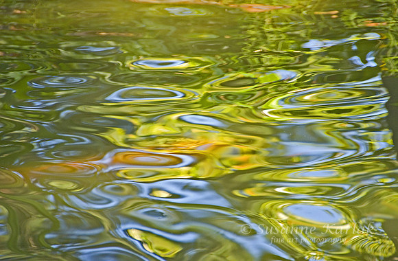 Golden Reflections #049