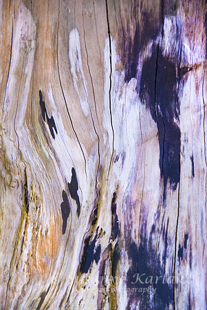 Weathered Wood #149RGB